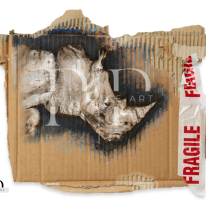 Rhino 'fragile'